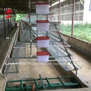 Wholesale Automatic Layer Battery Cage System Commercial Layer Chicken Cage 3 Tiers Hot Sale Rose from china suppliers