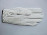 golf glove , golf gloves , glove , gloves