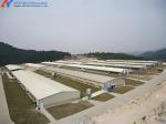 Poultry Farming Chicken House Design Steel Structure Chicken Shed Automatic