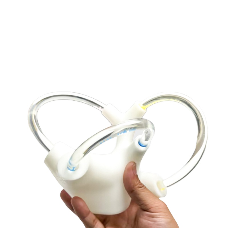 Vertigo Cochlea Inner Ear Cranial Nerve Rehabilitation Anatomical Function Didactic Demonstration Semicircular Canal