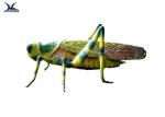 Botanical Life Size Garden Statues , Animatronic Artificial Insect Models