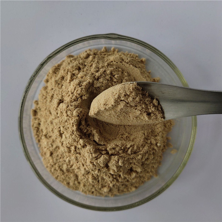 Hot Sale energy supplement galangal extract with best price