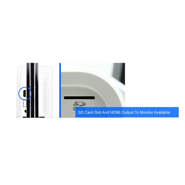 LED HDMI DC12V CNOEC Digital LCD Microscope