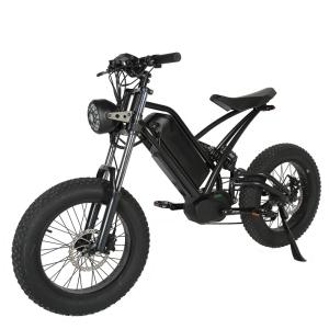 Wholesale Range per Power 60 km 750W 48V Style Dirt Bike for Adults CE FCC Rohs Certified from china suppliers