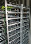 Welded Wire Greenhouse Carts Flower Trolley Rack Plant Cart Iso9001 Certificatio