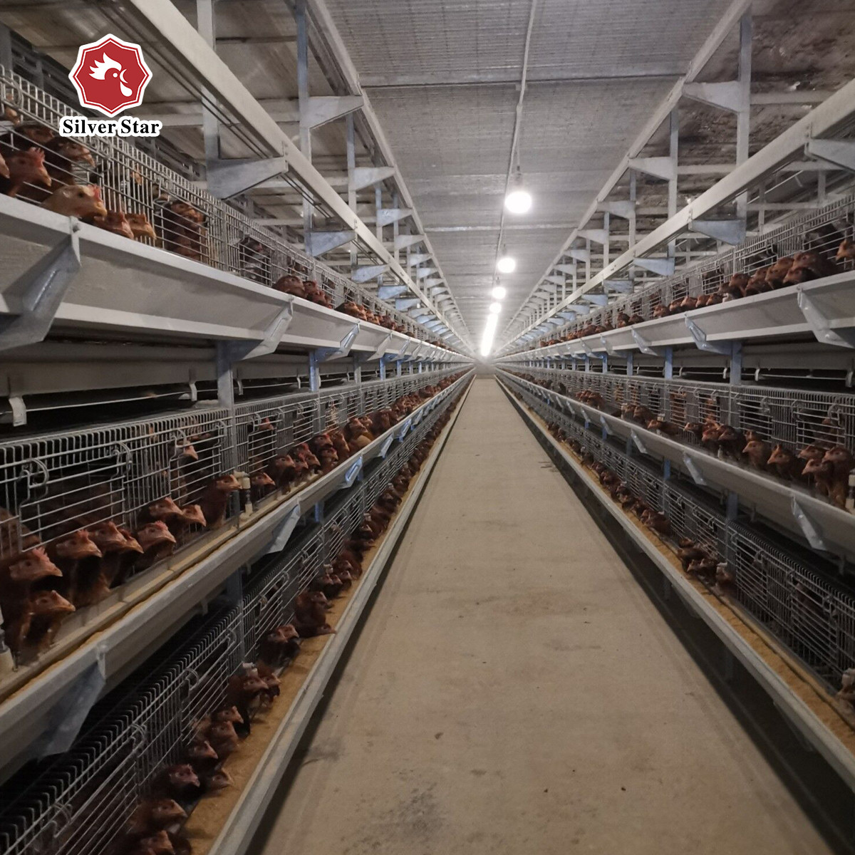 Hot Dip Broiler Battery Rearing Cage Galvanized Poultry Farming Meat
