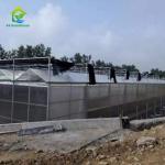 OEM Flowers Polycarbonate Sheet Greenhouse Transparent Tropical Fruit Greenhouse