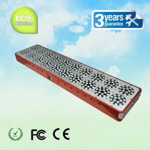Wholesale Hot Sale Apollo 20 LED Grow Lights 900W (300*3W) Red Blue High Output Light CE Rohs from china suppliers