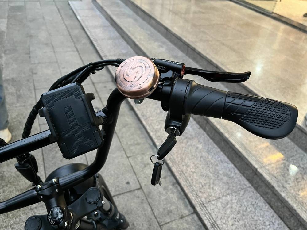 Richbit H300 Fat Electric Scooter Cycle High Speed 50km/H 1000w 48v 16ah 26x4.0 Inch