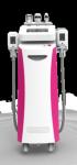 Professional CE approved 5 Handles cryolipolysis fat freezing body slimming