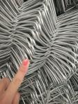 Professional Length 50msecurity Chain Link Fence For School Or House
