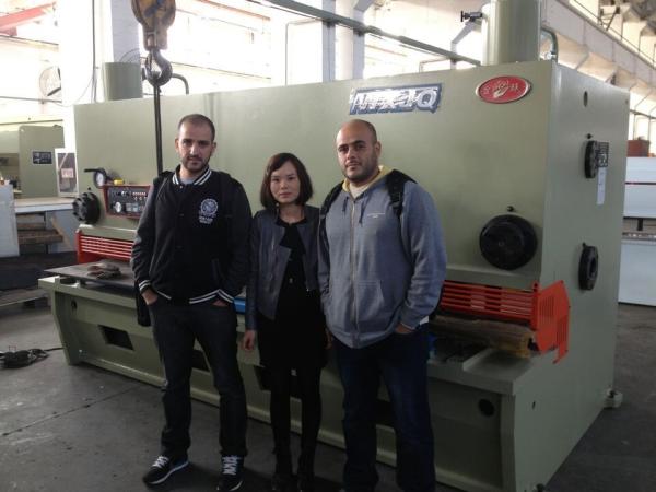 Steel Metal Sheet Metal Cutting Shears Guillotine Hydraulic 10 Mm Cutting