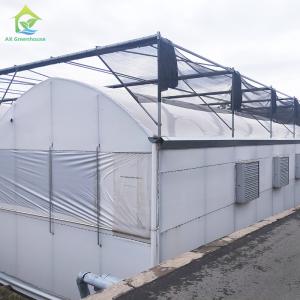 Wholesale Durable Galvanized Steel Blackout Light Deprivation Agricultural Greenhouse from china suppliers