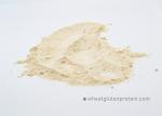 nutrition Bran Dough 78% Vital Wheat Gluten
