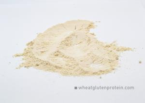 Wholesale Vital Wheat Gluten Powder , No Smell Natural Protein Ingredient For Feedstuff from china suppliers