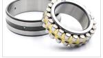 U20.223 High Precision Brass Cage Bearing Cylindrical Roller Bearing