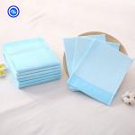 Pet Training 120-250ml Absorbent Puppy Housebreaking Potty Training Pad