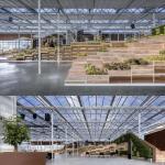 Customized Request for Drip Irrigation Glass Greenhouse Commercial Greenhouse