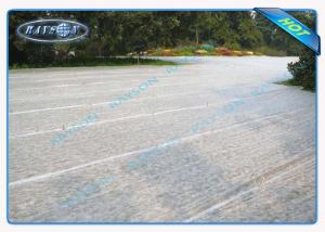 Wholesale Greenhouse PP Film Spunbond Non Woven Landscape Fabric with 100% polypropylene from china suppliers