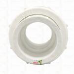 Ppr Plastic Union For Piping System Customized Size & Color & Logo