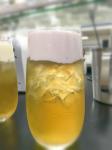 Food Additives Natural Emulsifiers For Food (DMG) Distilled Monoglyceride DH-Z80