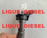 BOSCH Piezo injector 0445116017 0445116018 0 445 116 017 0 445 116 018 33800