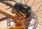 Gold 30 Speed 26x4.0 Inch Fat Wheel Mountain Bike