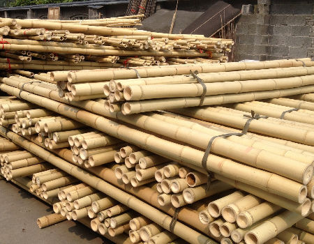 Natural Garden Bamboo Sticks For Indoor And Outdoor Plants , Plant Support Stakes For Tomatoes , Beans , Potted Plants
