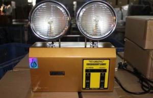 Wholesale Non-maintained Emergency Twinspot Light from china suppliers