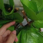 Artificial Fence Telescopic Hedge Plastic Fence Garden For Outdoor Decoration