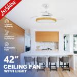 Color Temperature Options 42 Inch Ceiling Fan with Hidden Blades and Remote