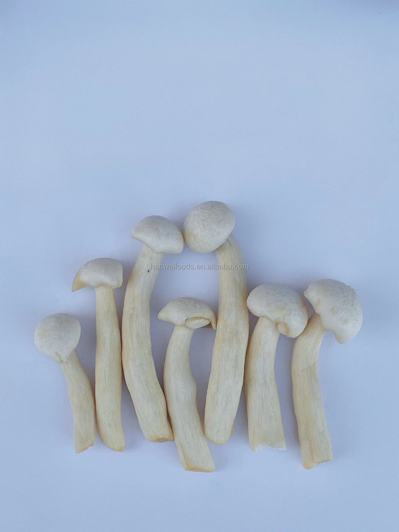 Hot Sell Fresh Shimeji Mushroom Vacuum Fried Vegetables Healthy Snacks Shimeji Mushrooms