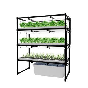 Wholesale Custom Hydroponic Grow Rack Indoor Vertical Farms For Leafy Green from china suppliers