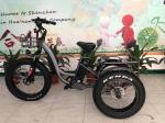 3 Wheel Tricycle Cargo Electric Bike Rear Engine Fat Tire Cargo Trike 500w 48v