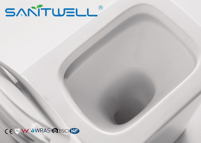 Rimless Free Standing Toilet With Hidden Water Tank , floor standing wc