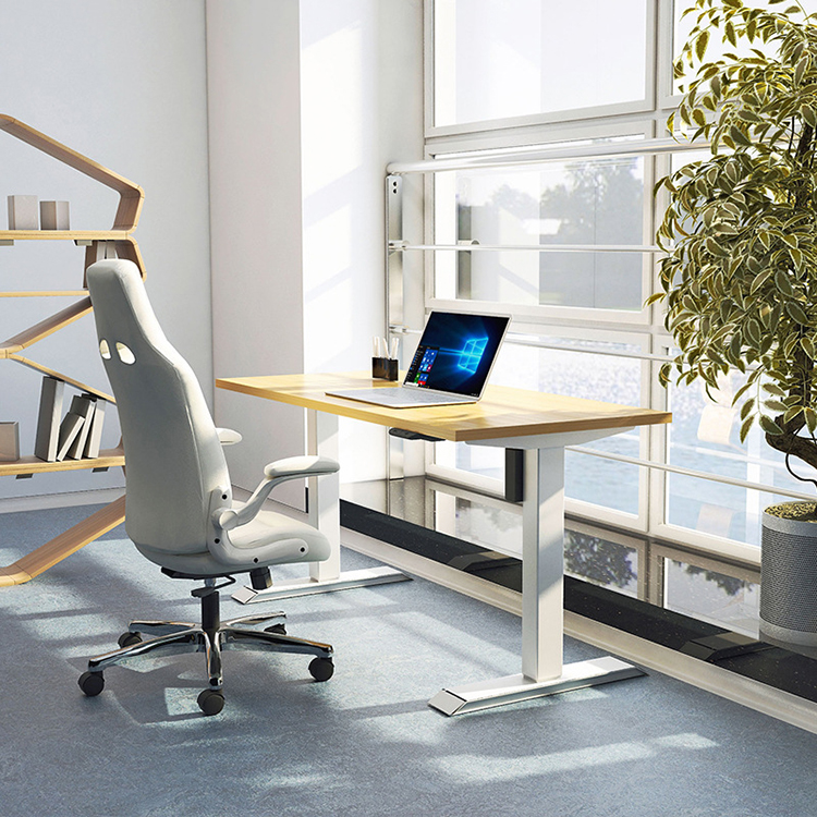 Modern Boss Study Electric Standing Desk with Metal Column and Adjustable Height