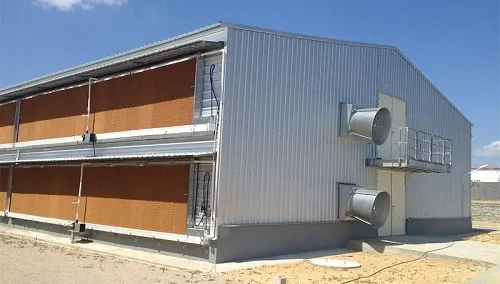 Galvanized Light Steel Frames Single Layer Corrugated Steel Plate Roof Broiler House