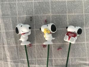 Wholesale OEM Home Decorative Flowerpick with Wholesale Price from china suppliers