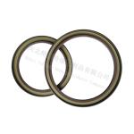 Dana Axle rear wheel Oil Seal170X202X15/129.8x165x12, Flexible Lip High Speed