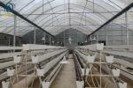 Farm Vertical PVC NFT Gully Planting Troughs Agriculture Vegetable Growing