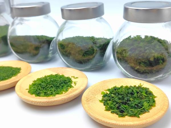 Green Laver Aonori Dried Seaweed Powder Flakes Nutritious Sprinkles For Cuisine
