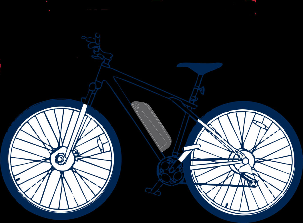 36V Ebike Hailong Downtube Lithium Battery for Electric Bike with USB Charger Included