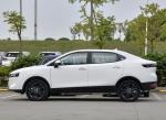 GWM Ora-IQ 120kilowatts 163HP 4 Seater Electric Car With 205/50 R17 Tire