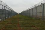 Welded Razor Wire Mesh Fencing Panels With Diamond Hole For African Market