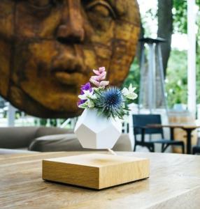 Wholesale Magnetic levitation Plant Pot &amp; Base Creative Potted Plants flower plant pot from china suppliers