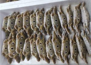 Wholesale Omega 3 Whole Round 100g-300g Three Spotted Crab from china suppliers