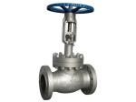 Petrochemical Cast Steel Industrial Globe Valve Anti Blow - Out Stem Design