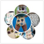 6000ml Absorption Disposable Adult Diaper with Cute Sexy Printing and Custom