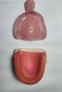 Wholesale Hygienic Dental Bleaching Tray Set For Upper Or Lower Teeth Whitening from china suppliers