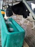 Thermal 400L Cattle Water Drinkers 4m Plastic Water Trough